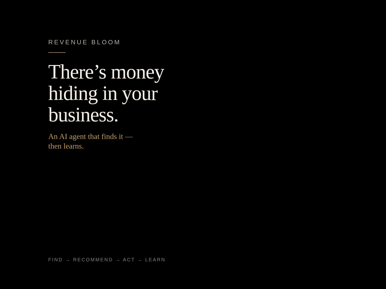 Revenue Bloom — there’s money hiding in your business