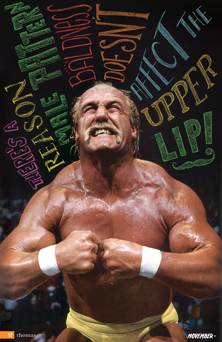 Movember — Hulk Hogan, There’s a reason pattern male baldness doesn’t affect the upper lip